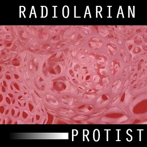 SSS Radiolarian