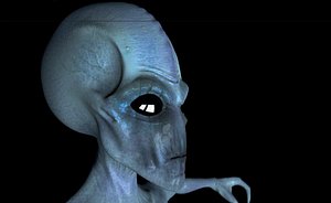 Alien Grey + assets
