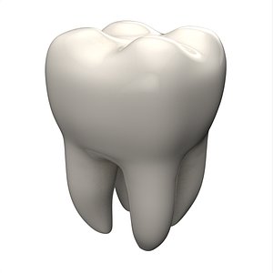3D Tooth