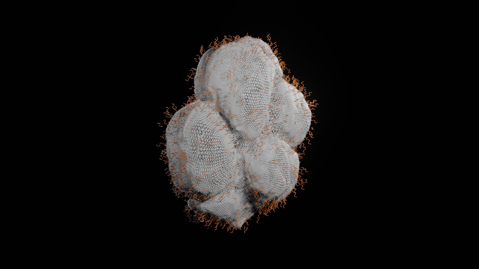 3D weed bud https://p.turbosquid.com/ts-thumb/iX/ggv41C/AHOhRRVH/weedbudwireframe/png/1578530849/1920x1080/fit_q87/4d27304907ed01817400358ac066d8b1fc0ea863/weedbudwireframe.jpg