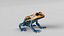 Poison Dart Frog Animated