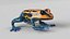 Poison Dart Frog Animated