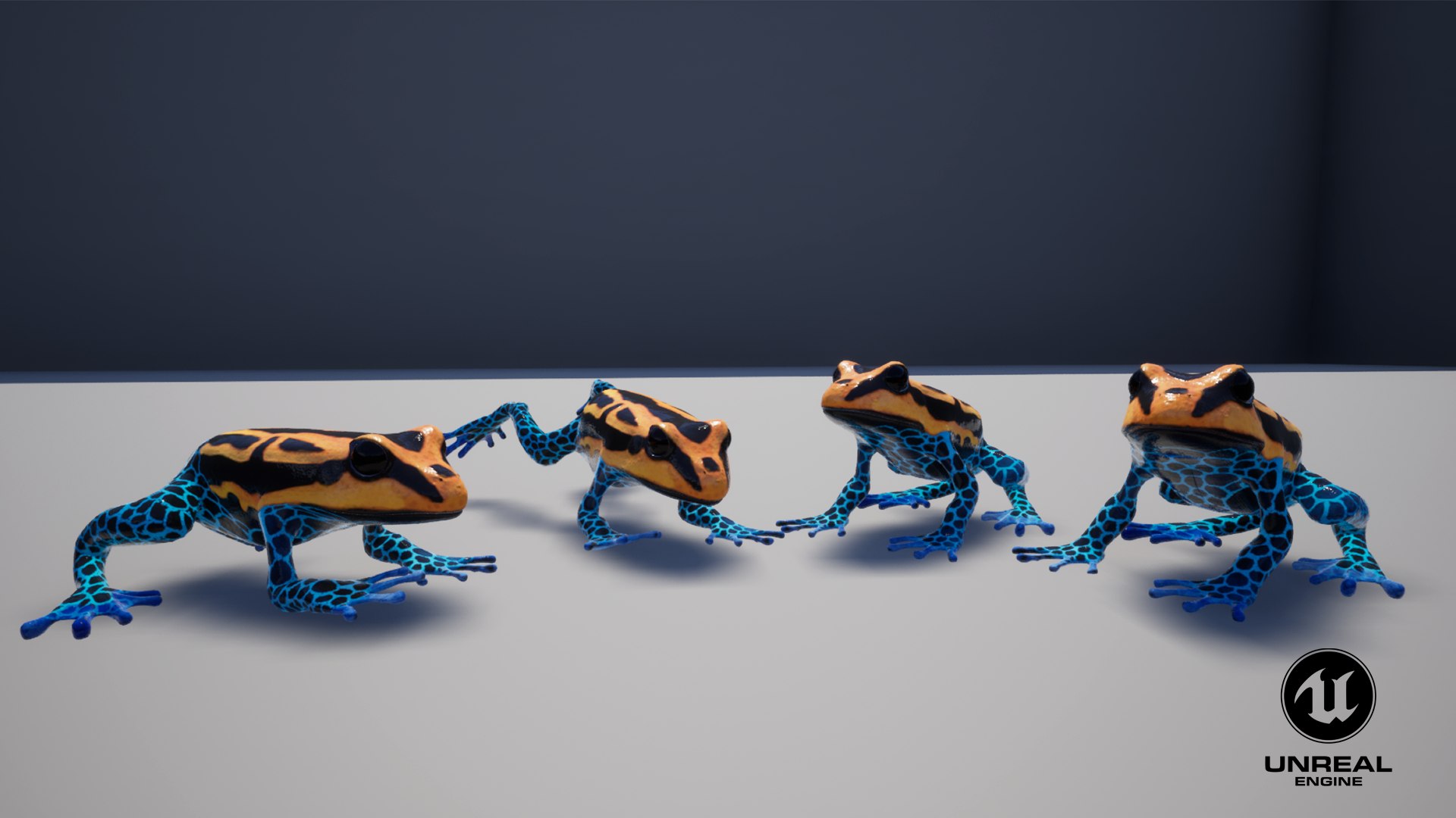 Poison Dart Frog Animated 3D model https://p.turbosquid.com/ts-thumb/iX/oLyxfQ/aK/poison_dart_frog_animated_thumbnail_ue5/png/1694530169/1920x1080/fit_q87/64cd5fe5c7fde322d2641c0850476c0760a7dec7/poison_dart_frog_animated_thumbnail_ue5.jpg