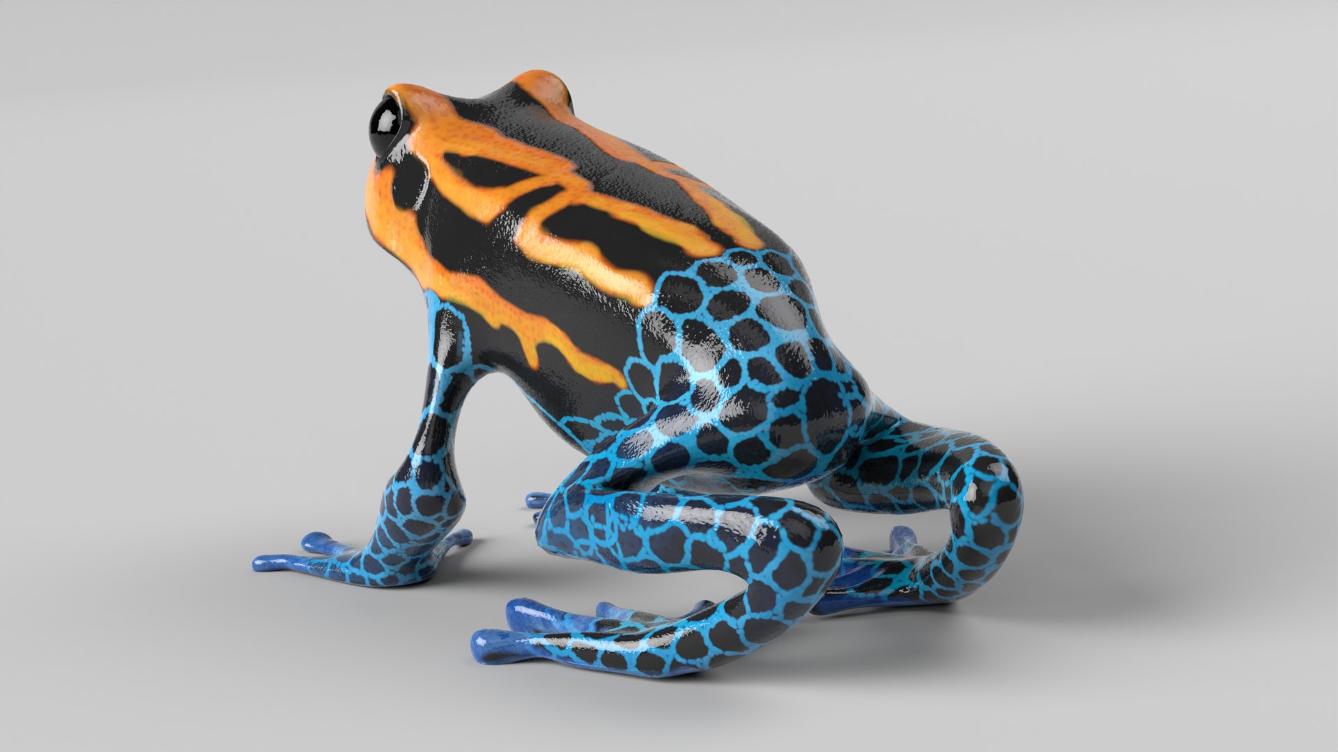 Poison Dart Frog Animated 3D model https://p.turbosquid.com/ts-thumb/iX/oLyxfQ/qq/poison_dart_frog_images0009/png/1694351306/1920x1080/fit_q87/e7871c9b2bd8c6c7e7e4208a51c8cbe670d7a38d/poison_dart_frog_images0009.jpg
