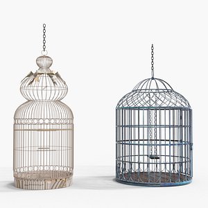 Cage Bird low-poly 3d model