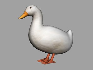 duck rigged fbx