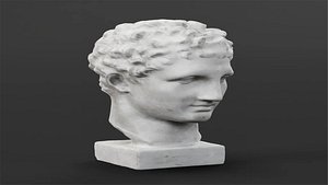 Bust Of A Man