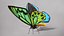 Ornithoptera Alexandrae Butterfly Male