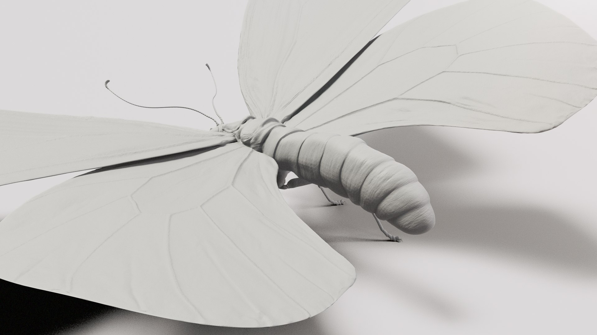 3d model ornithoptera alexandrae butterfly https://p.turbosquid.com/ts-thumb/iY/8cEl1v/Dy/shade33/jpg/1611254364/1920x1080/fit_q87/ffad6fc266fd35392be9db3351efb0658104fc25/shade33.jpg