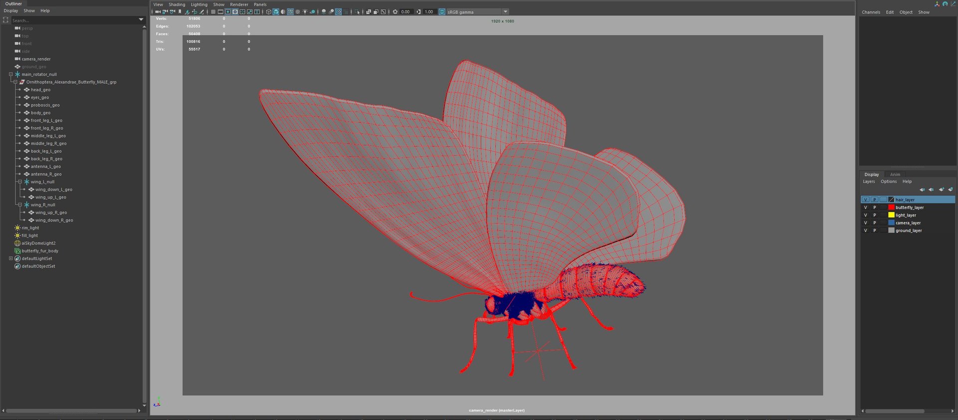 3d model ornithoptera alexandrae butterfly https://p.turbosquid.com/ts-thumb/iY/8cEl1v/GB/screen/jpg/1611255764/1920x1080/fit_q87/bd48093b76b9d9968b227255466dd87cd73a106f/screen.jpg