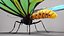 Ornithoptera Alexandrae Butterfly Male