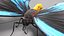 Ornithoptera Alexandrae Butterfly Male