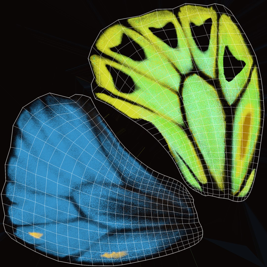 3d model ornithoptera alexandrae butterfly https://p.turbosquid.com/ts-thumb/iY/8cEl1v/kB/uv01/jpg/1611255769/1920x1080/fit_q87/ec3e6d4463665d122e2448d75993028c3f969e3e/uv01.jpg