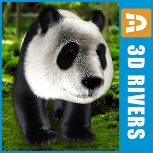 Panda by 3Drivers