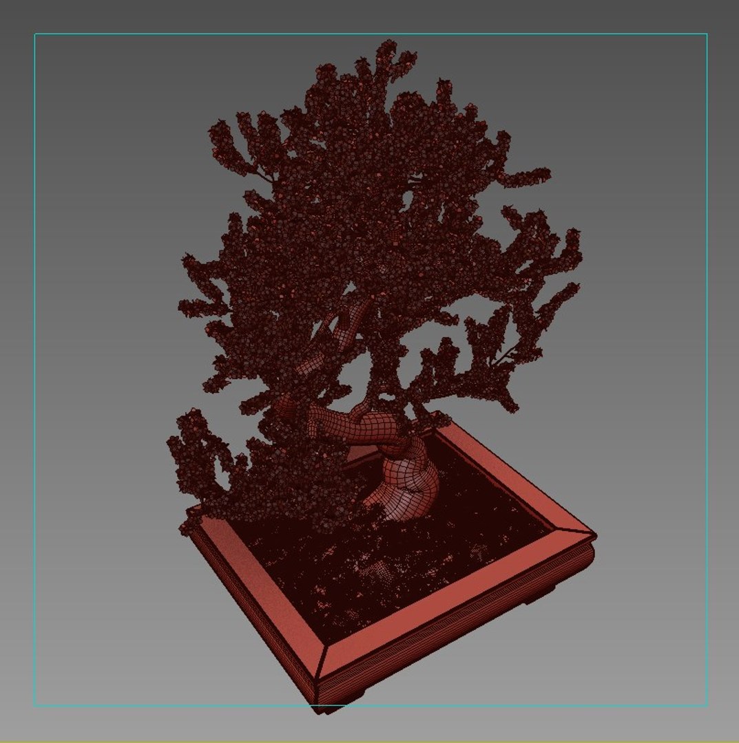 3d sakura bonsai model https://p.turbosquid.com/ts-thumb/iY/H9epWe/K6RSoaUC/sakura_preview6/jpg/1485529993/1920x1080/fit_q87/b050c54ff385927770a7b5053a42f37e86d756a6/sakura_preview6.jpg