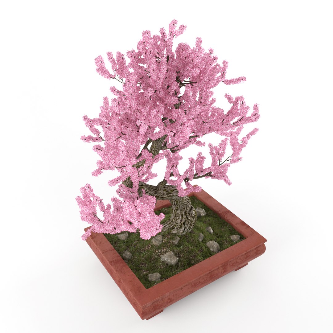 3d sakura bonsai model https://p.turbosquid.com/ts-thumb/iY/H9epWe/kuT3SK23/sakura_preview5/jpg/1485529993/1920x1080/fit_q87/80c30c6ddc6297cc23535e0bd0d5a27aa2e7fbee/sakura_preview5.jpg