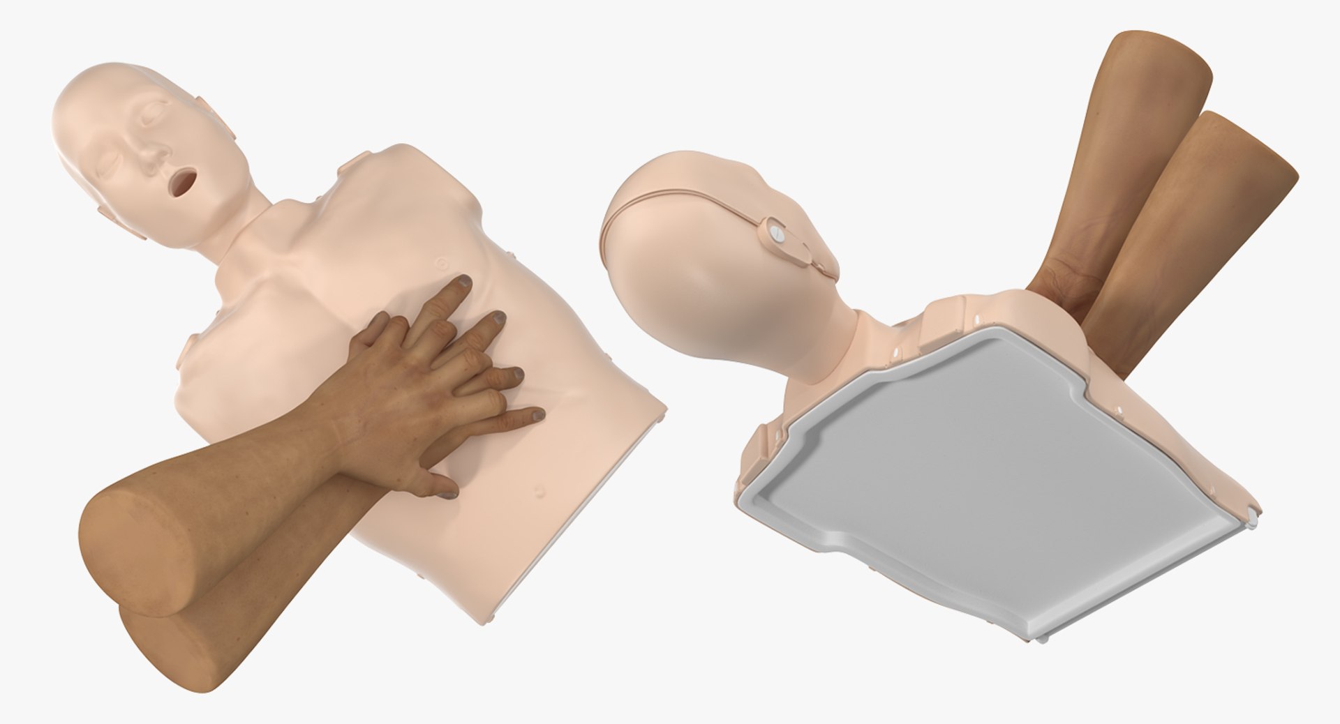 Chest Compressions Cpr Dummy 3D Model - TurboSquid 1332736