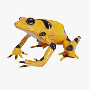 Panamanian Golden Frog  - Animated 3D model