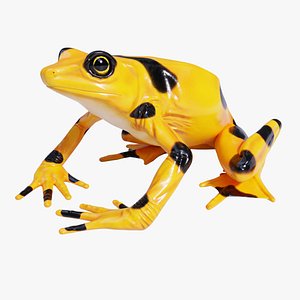 Panamanian Golden Frog  - Animated 3D model