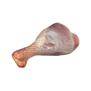 Raw chicken drumstick v1