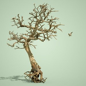 dead forest tree stylised 3D model