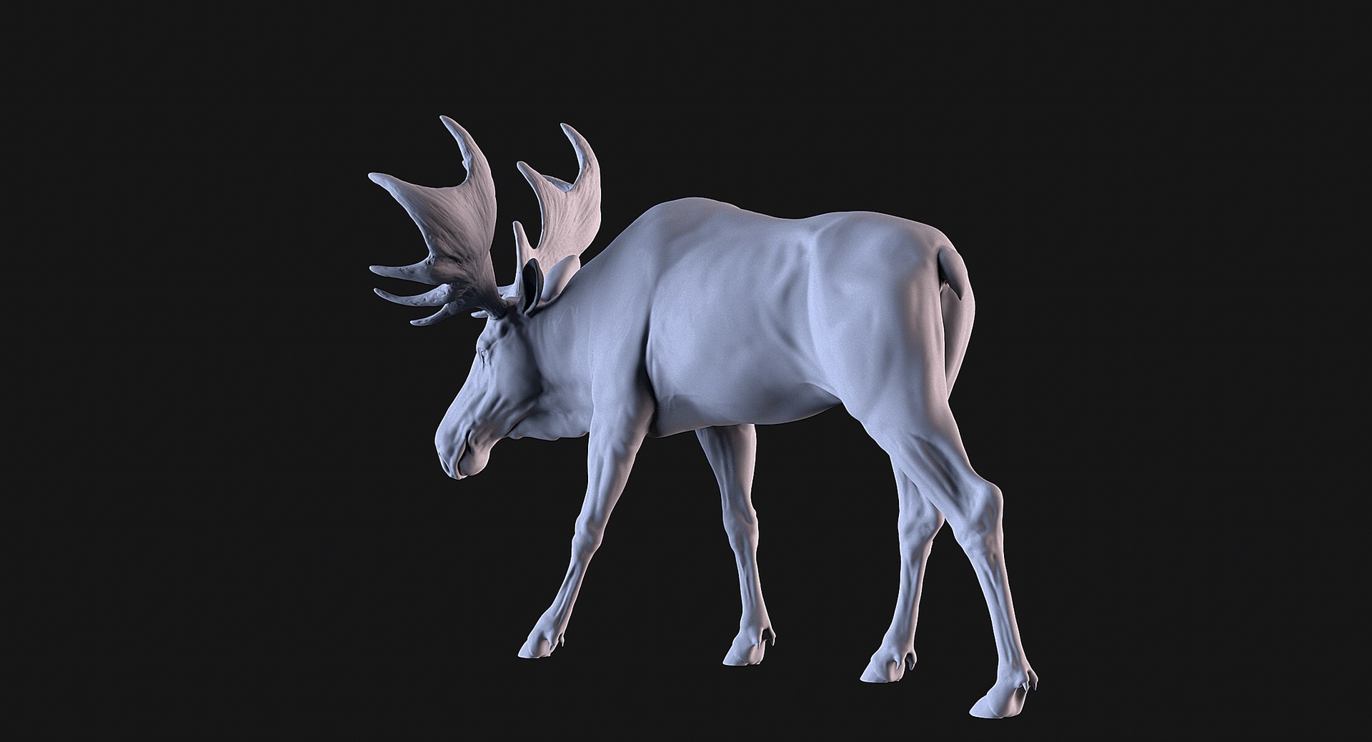 3D Moose Model - TurboSquid 2398993