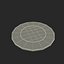 2 Dollar Canadian coin Loonie