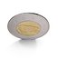 2 Dollar Canadian coin Loonie