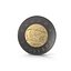 2 Dollar Canadian coin Loonie