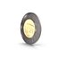 2 Dollar Canadian coin Loonie