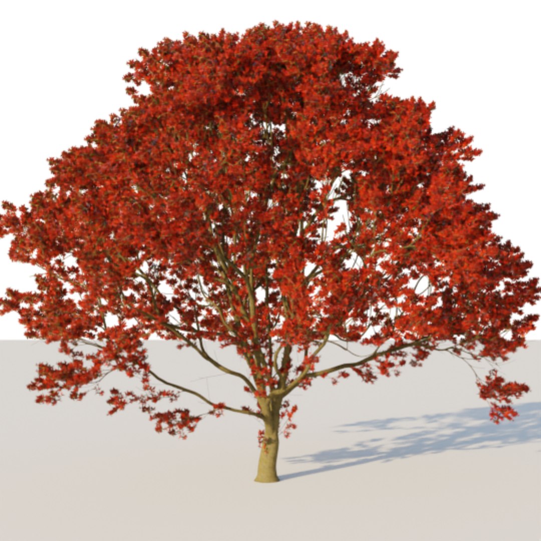 6 Trees Pack Green Maple 3D Model - TurboSquid 1659039