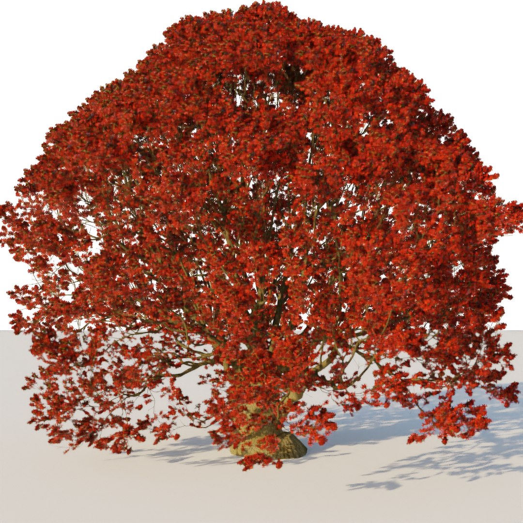 6 Trees Pack Green Maple 3D Model - TurboSquid 1659039