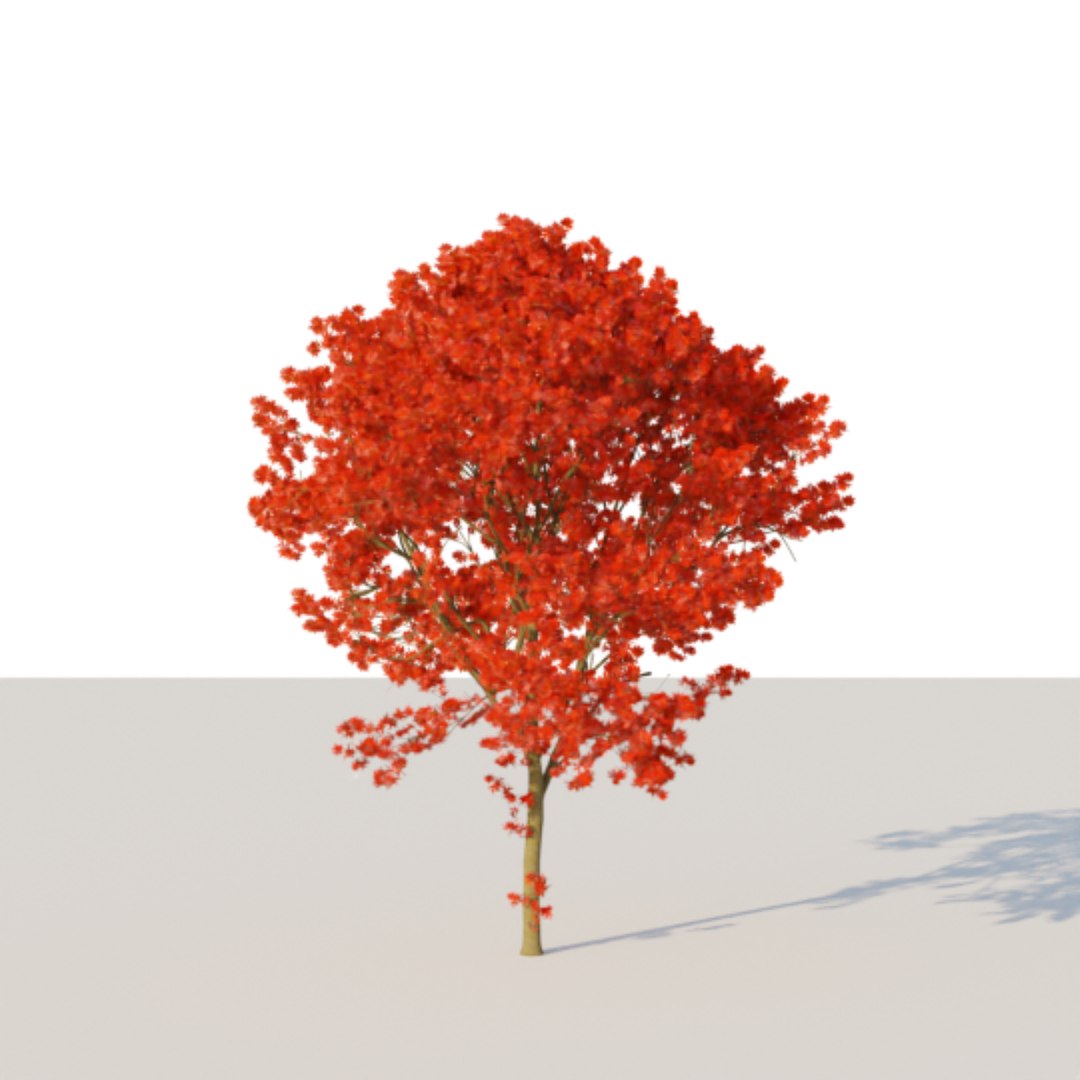6 Trees Pack Green Maple 3D Model - TurboSquid 1659039