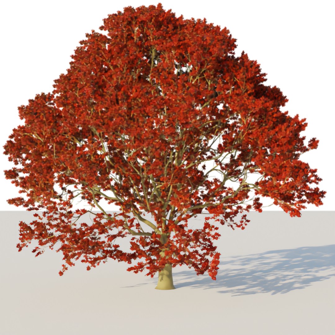 6 Trees Pack Green Maple 3D Model - TurboSquid 1659039