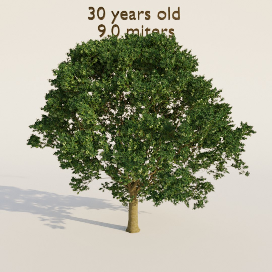 6 Trees Pack Green Maple 3D Model - TurboSquid 1659039