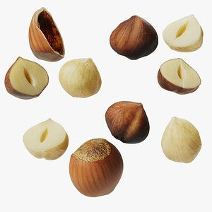 Hazelnuts - Var01