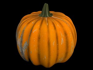 Pumpkin