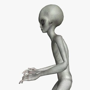 3D Super-Realistic Gray Alien 3D Animation - Talking model