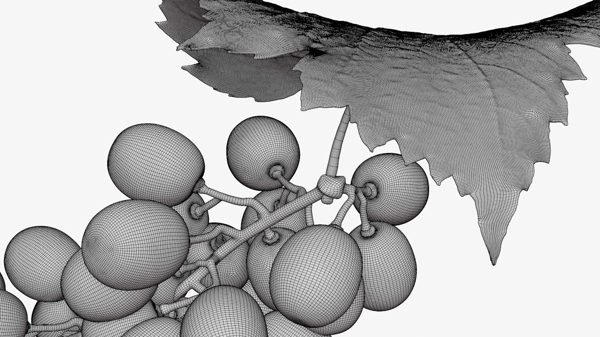 3D Bunch Grapes 01 https://p.turbosquid.com/ts-thumb/iZ/V4J7l5/0B/grapes_d0009/png/1763378795/1920x1080/fit_q87/3fc21efbc928302f0233b722179a9dd952227a34/grapes_d0009.jpg