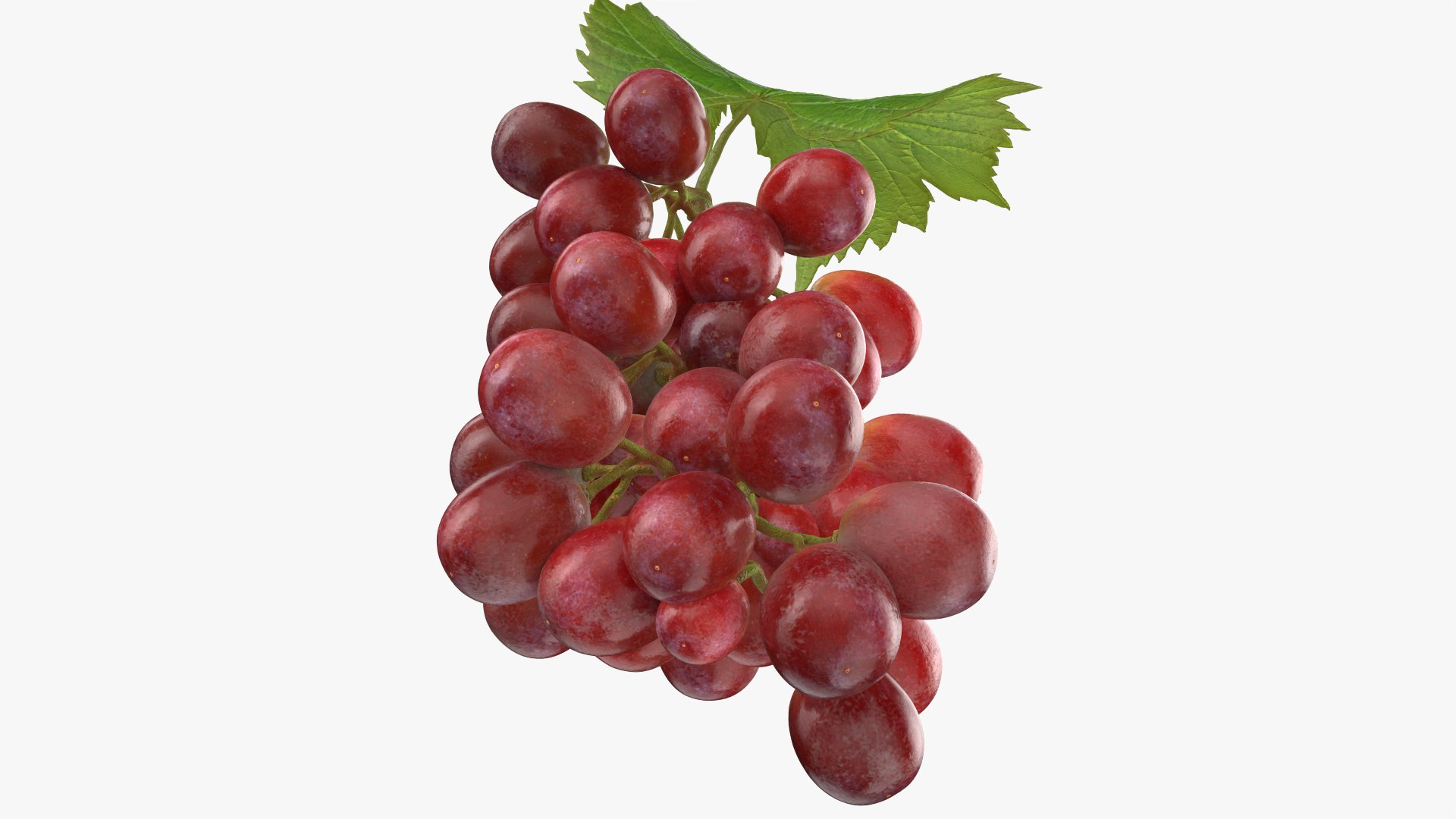 3D Bunch Grapes 01 https://p.turbosquid.com/ts-thumb/iZ/V4J7l5/76/grapes_0006/png/1763378775/1920x1080/fit_q87/5ce44b0e75c72c29880bd010ccf9c2689ed0a6f7/grapes_0006.jpg