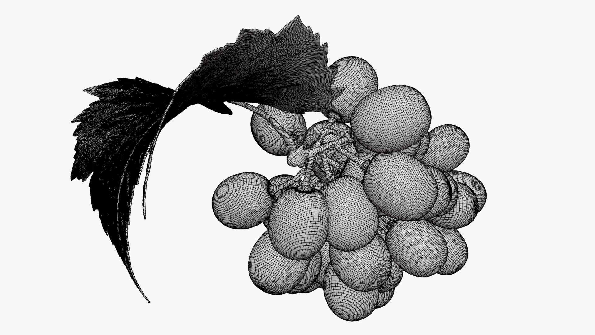 3D Bunch Grapes 01 https://p.turbosquid.com/ts-thumb/iZ/V4J7l5/AJ/grapes_d0005/png/1763378792/1920x1080/fit_q87/c650a9adbe0ecf3d966712d1015a9cfaacc62541/grapes_d0005.jpg