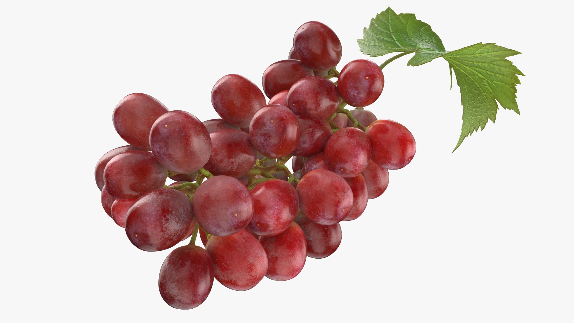 3D Bunch Grapes 01 https://p.turbosquid.com/ts-thumb/iZ/V4J7l5/CQ/grapes_0004/png/1763378773/1920x1080/fit_q87/1128a13d87681673e783a8825d78d91aba75c65a/grapes_0004.jpg