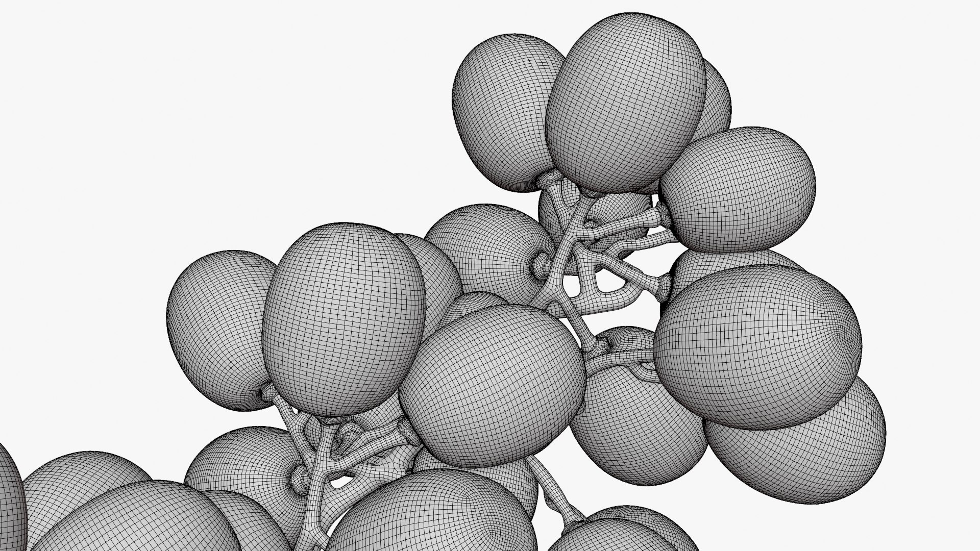 3D Bunch Grapes 01 https://p.turbosquid.com/ts-thumb/iZ/V4J7l5/ND/grapes_d0012/png/1763378797/1920x1080/fit_q87/41e5289215f9b91b562713565ddf7ad96031085c/grapes_d0012.jpg