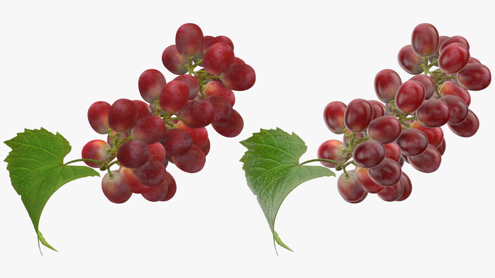 3D Bunch Grapes 01 https://p.turbosquid.com/ts-thumb/iZ/V4J7l5/c9/grapes_0001b/png/1763378763/1920x1080/fit_q87/21bc720e554aae262a319b8c1258f31c92485417/grapes_0001b.jpg