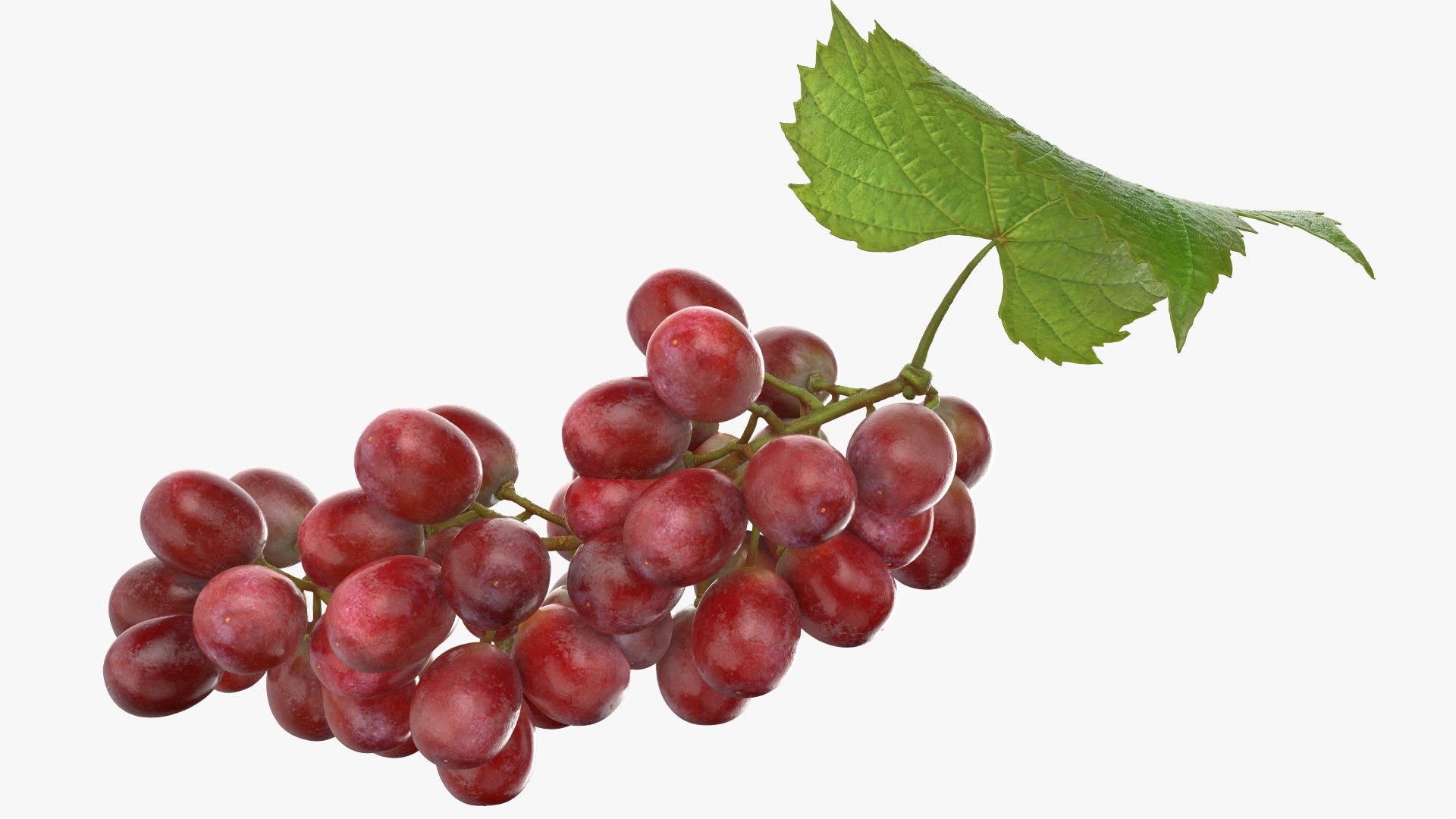 3D Bunch Grapes 01 https://p.turbosquid.com/ts-thumb/iZ/V4J7l5/nM/grapes_0003/png/1763378768/1920x1080/fit_q87/128b6d5e6ed80e28b82be360bb05ef9c88f433c2/grapes_0003.jpg
