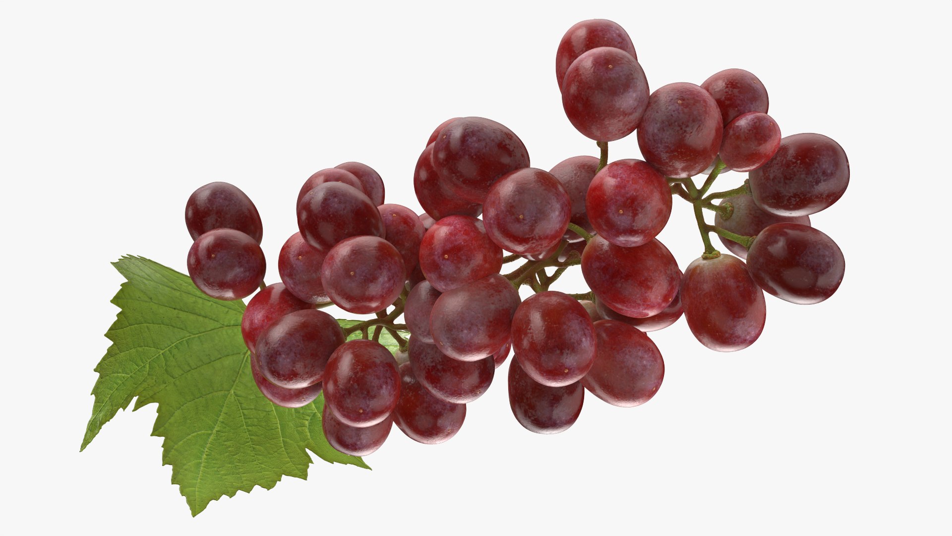 3D Bunch Grapes 01 https://p.turbosquid.com/ts-thumb/iZ/V4J7l5/s9/grapes_0008/png/1763378780/1920x1080/fit_q87/4aec7b6fa43d1969af9a88c1bc260acb945531f1/grapes_0008.jpg