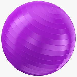 Exercise Yoga Ball 03