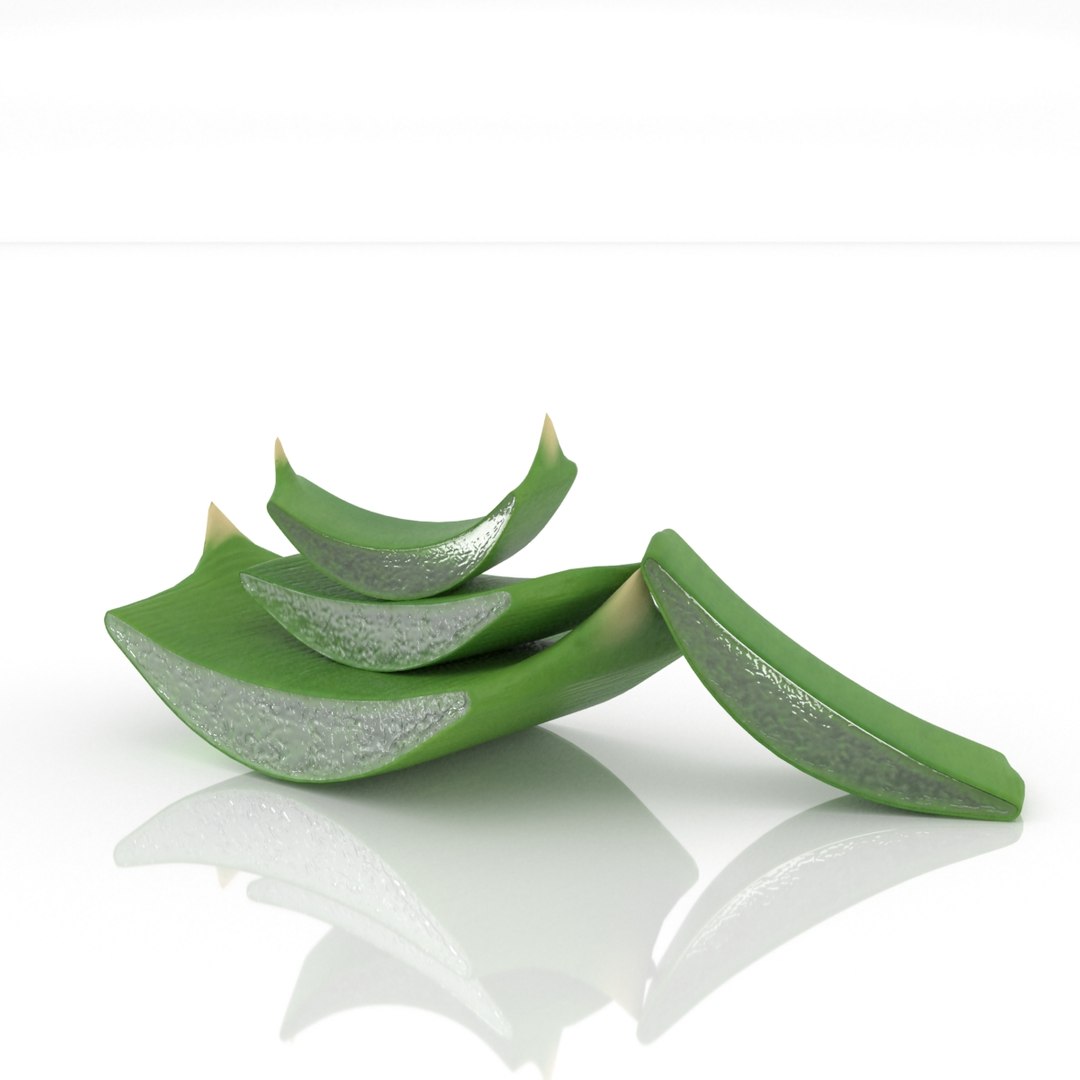 3D aloe plant vera https://p.turbosquid.com/ts-thumb/iZ/VQDwWn/Jc/22/jpg/1639125193/1920x1080/fit_q87/c75a1546f64fbe8d93392200db0a87002ca8e719/22.jpg