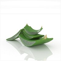 Aloe Vera slice health herb