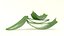 Aloe Vera slice health herb